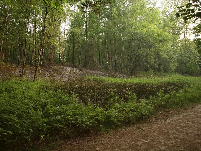 Waldbrand Bergisch Gladbach Bensberg P045.JPG